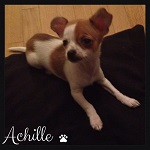 Avatar de l’utilisateur