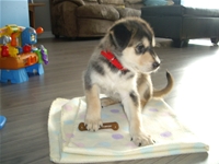 Avatar de l’utilisateur