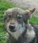 Avatar de l’utilisateur