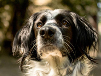 Avatar de l’utilisateur