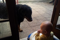 Avatar de l’utilisateur