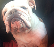 Avatar de l’utilisateur