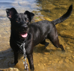 Avatar de l’utilisateur