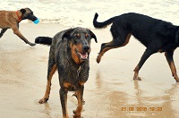 Avatar de l’utilisateur