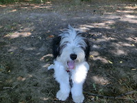 Avatar de l’utilisateur