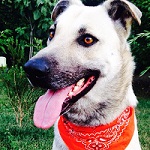 Avatar de l’utilisateur