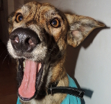 Avatar de l’utilisateur